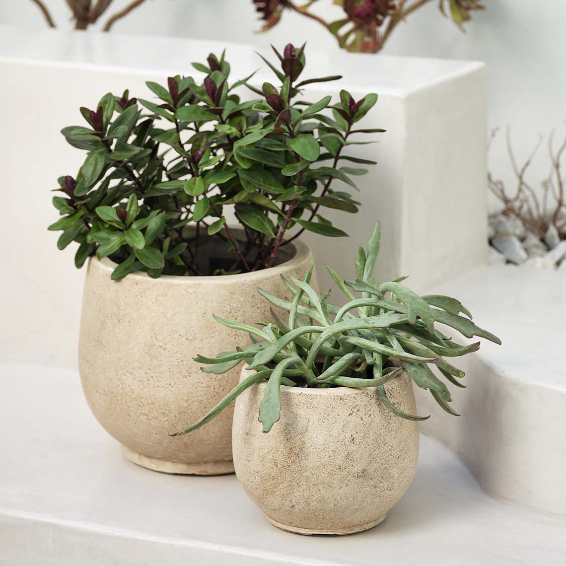 Set di due fioriere da giardino resistenti al gelo JERPE Fioriere da giardino in fibra di argilla, beige caldo, resistenti al gelo, con superficie rustica, naturale e strutturata