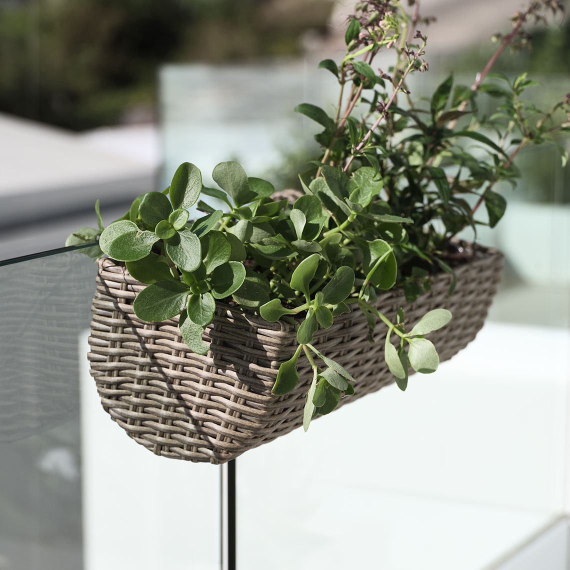 Fioriera da balcone STEINTROST in polyrattan e acciaio resistente al gelo e che non richiede manutenzione Fioriera da balcone in polyrattan che non richiede manutenzione con piante verdi